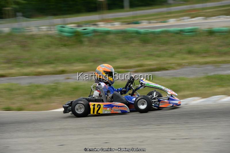 DSC_0785.jpg