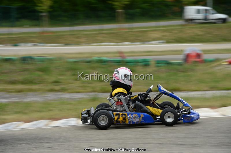 DSC_0787.jpg