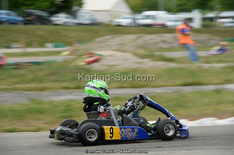 DSC_0798.jpg