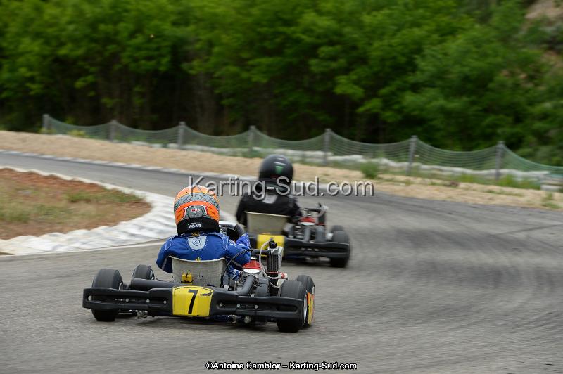 DSC_0805.jpg