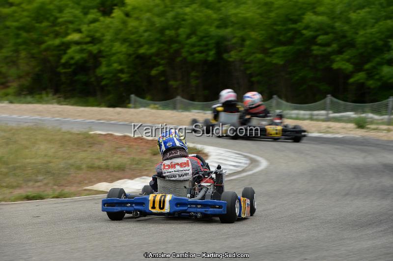 DSC_0806.jpg
