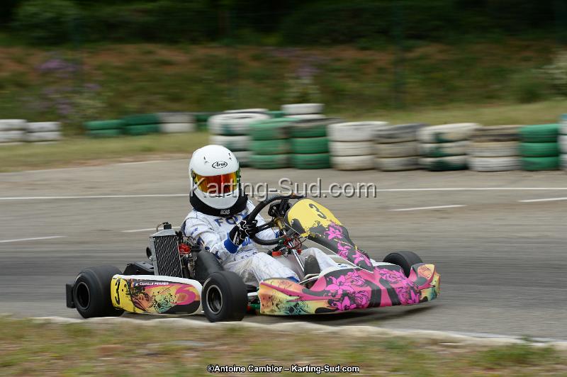 DSC_0867.jpg