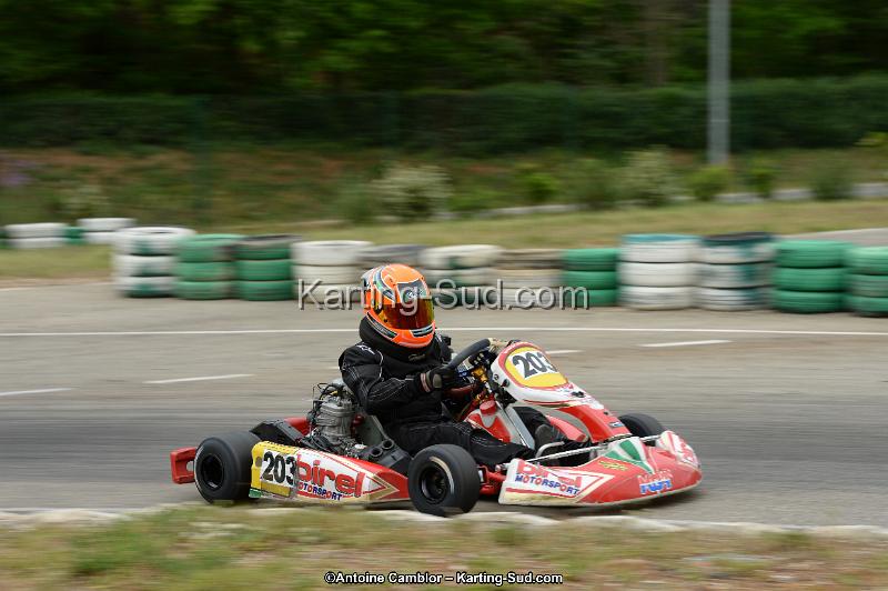DSC_0883.jpg
