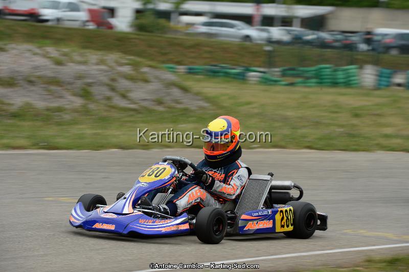 DSC_0916.jpg