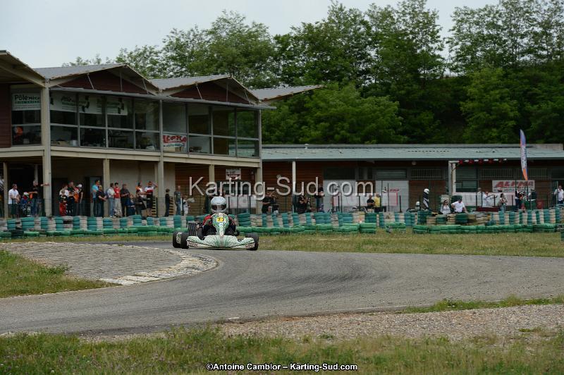 DSC_0919.jpg