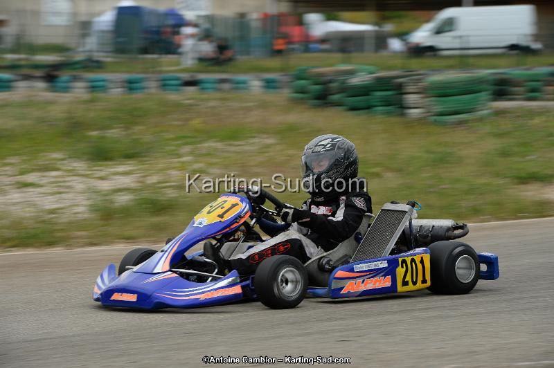 DSC_0941.jpg