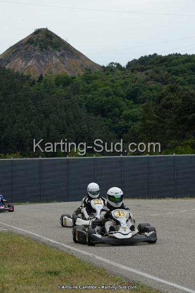 DSC_1003.jpg