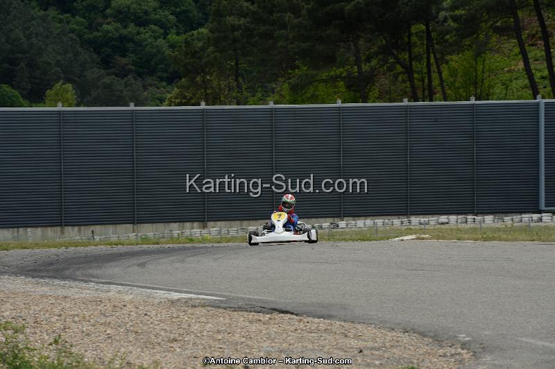 DSC_1037.jpg