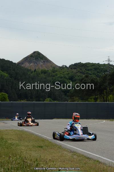 DSC_1131.jpg