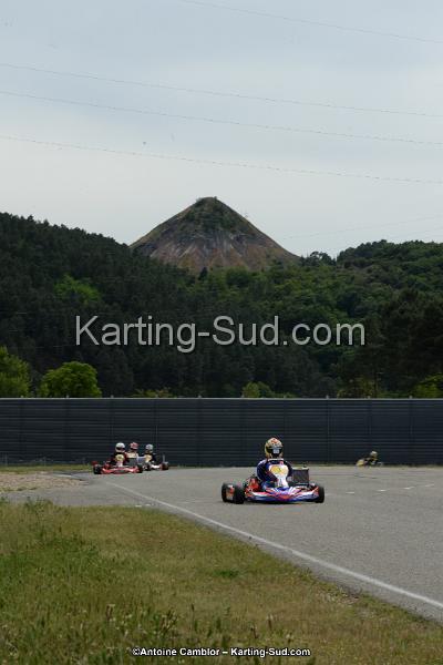 DSC_1133.jpg