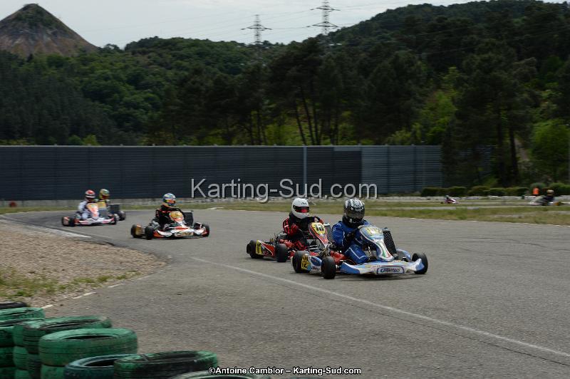 DSC_1146.jpg