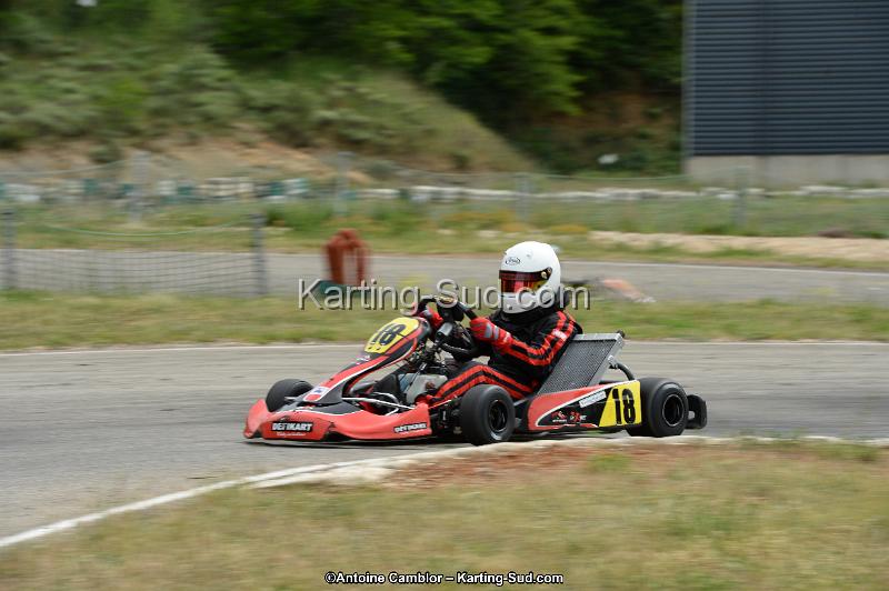 DSC_1174.jpg