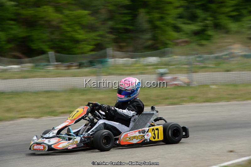 DSC_1188.jpg