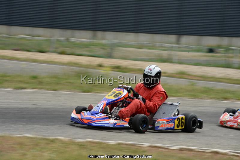 DSC_1192.jpg
