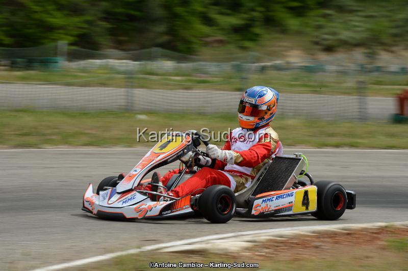 DSC_1217.jpg