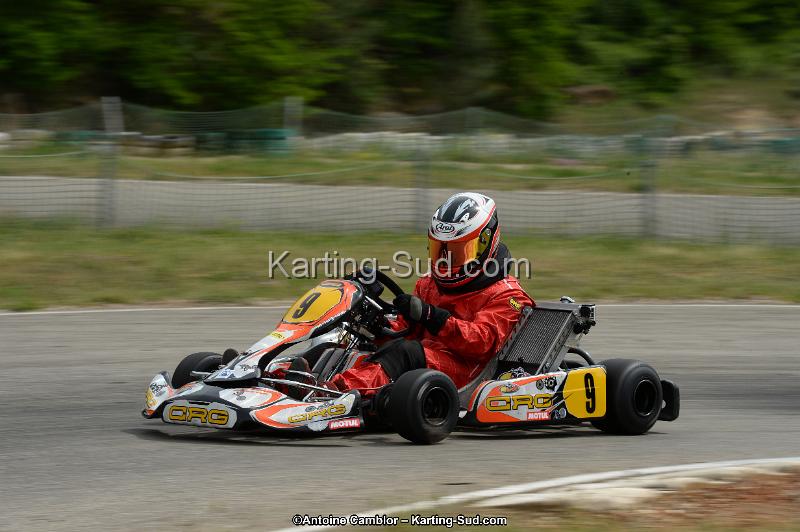 DSC_1227.jpg