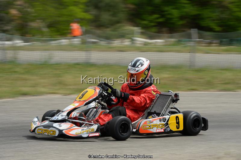 DSC_1228.jpg