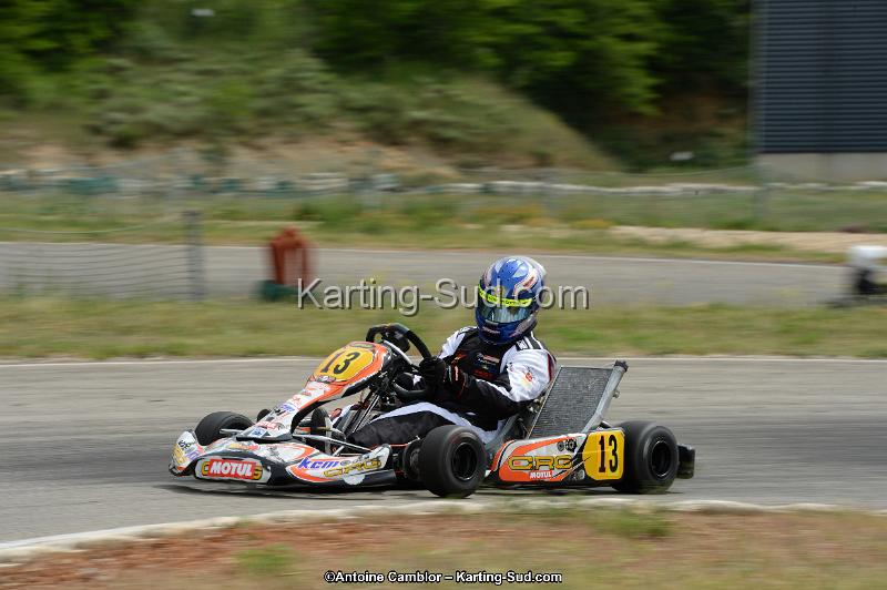 DSC_1229.jpg