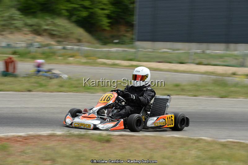 DSC_1237.jpg