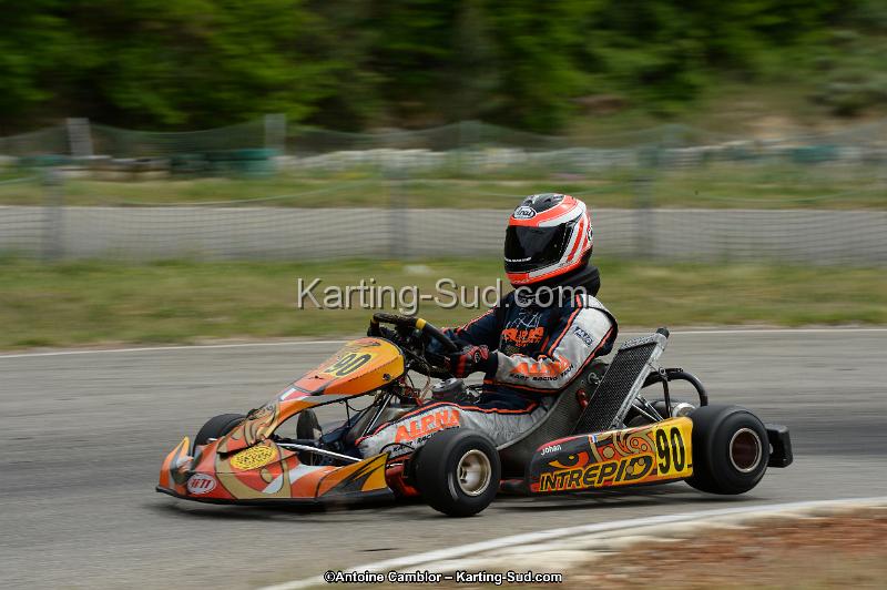 DSC_1242.jpg