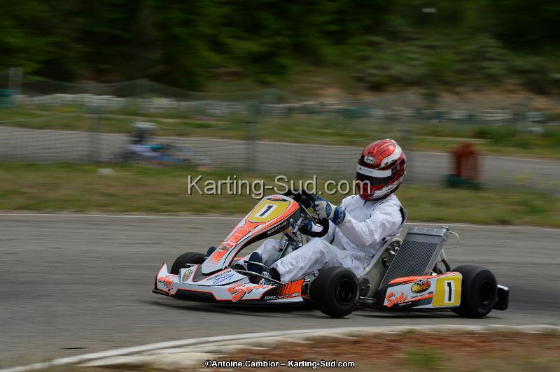 DSC_1245.jpg
