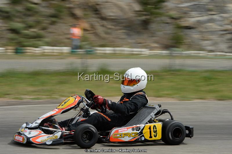 DSC_1293.jpg