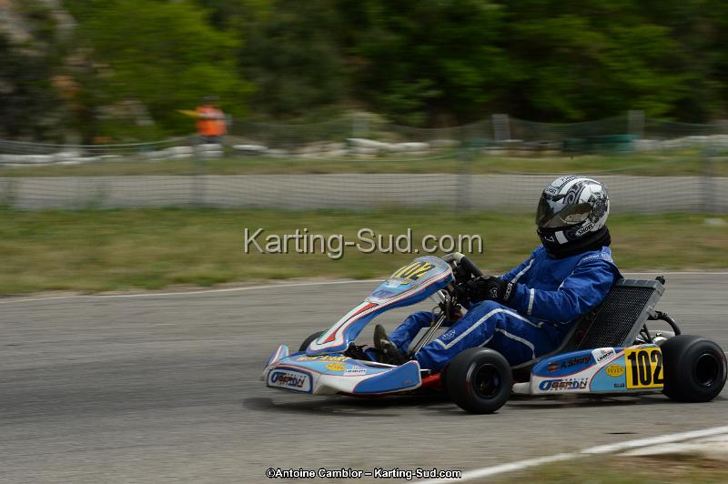 DSC_1302.jpg