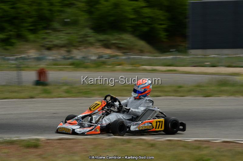 DSC_1304.jpg