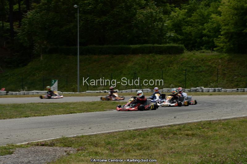DSC_1305.jpg