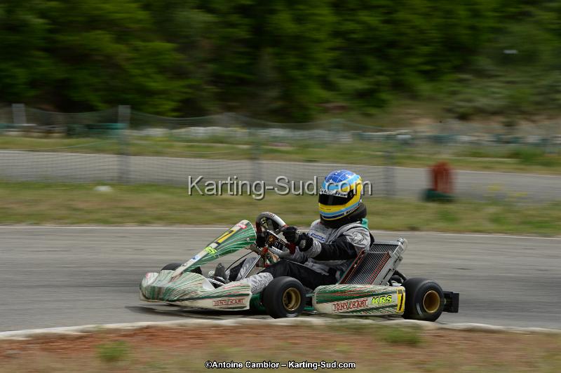 DSC_1312.jpg