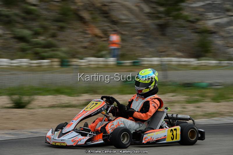 DSC_1315.jpg