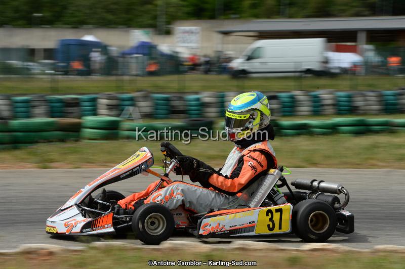 DSC_1331.jpg