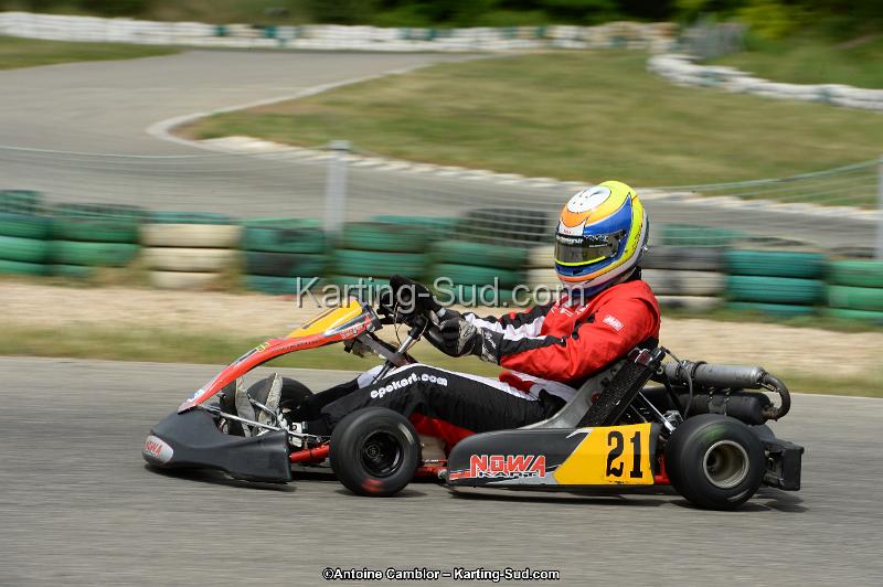 DSC_1333.jpg