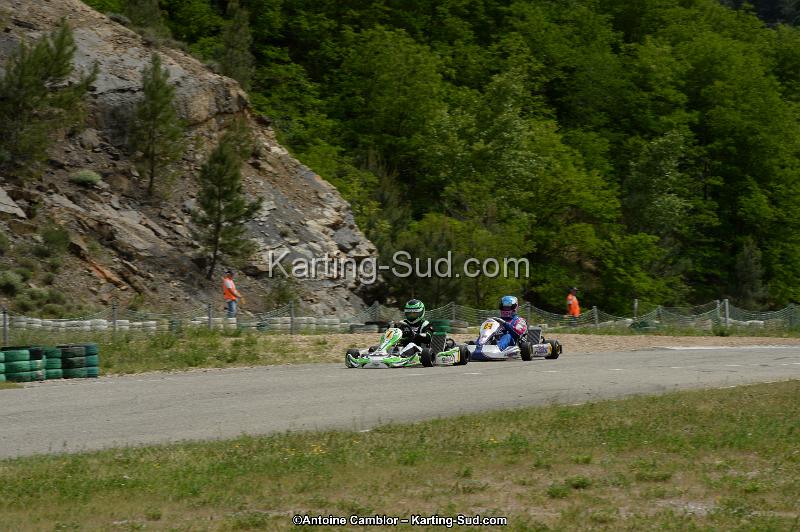 DSC_1340.jpg