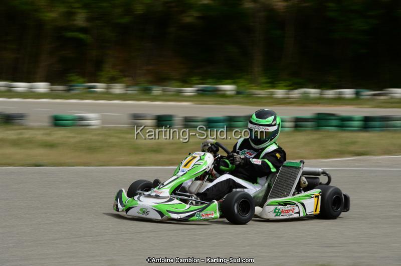 DSC_1348.jpg