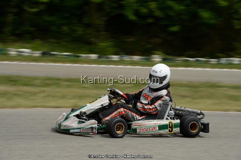 DSC_1351.jpg