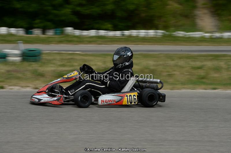 DSC_1382.jpg