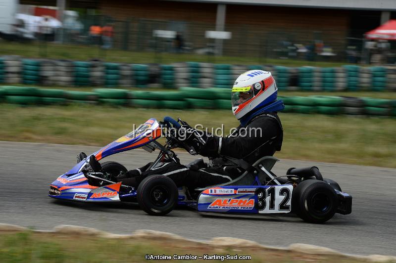 DSC_1384.jpg