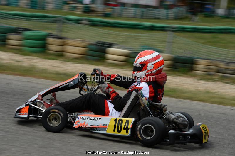 DSC_1388.jpg