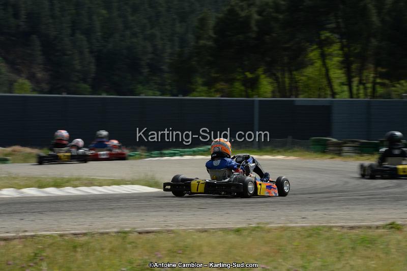 DSC_1551.jpg