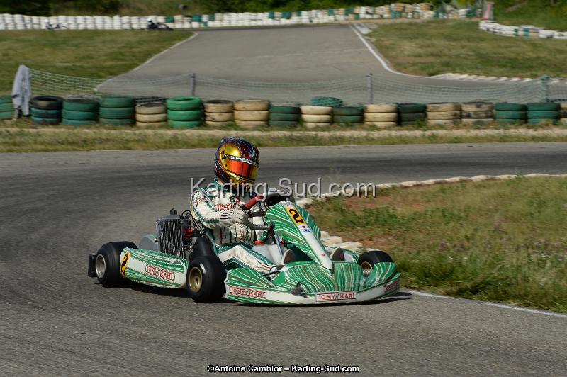 DSC_1666.jpg