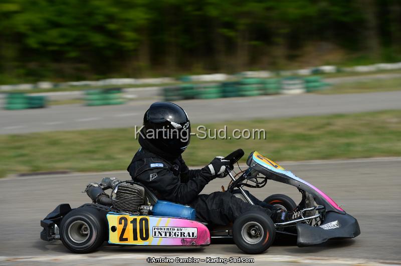 DSC_1817.jpg