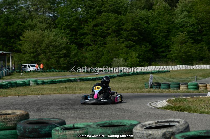 DSC_1828.jpg