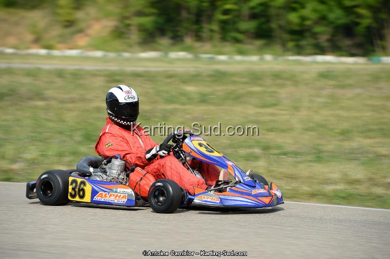 DSC_1867.jpg