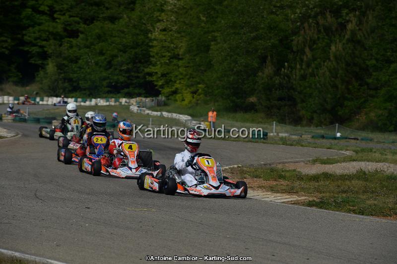 DSC_1874.jpg