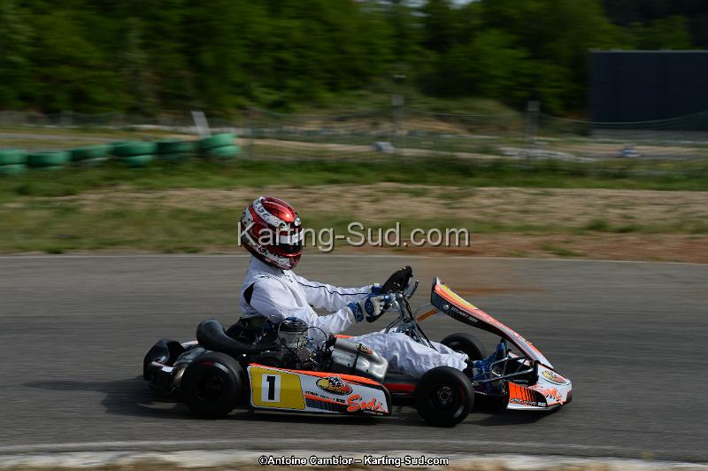 DSC_1875.jpg