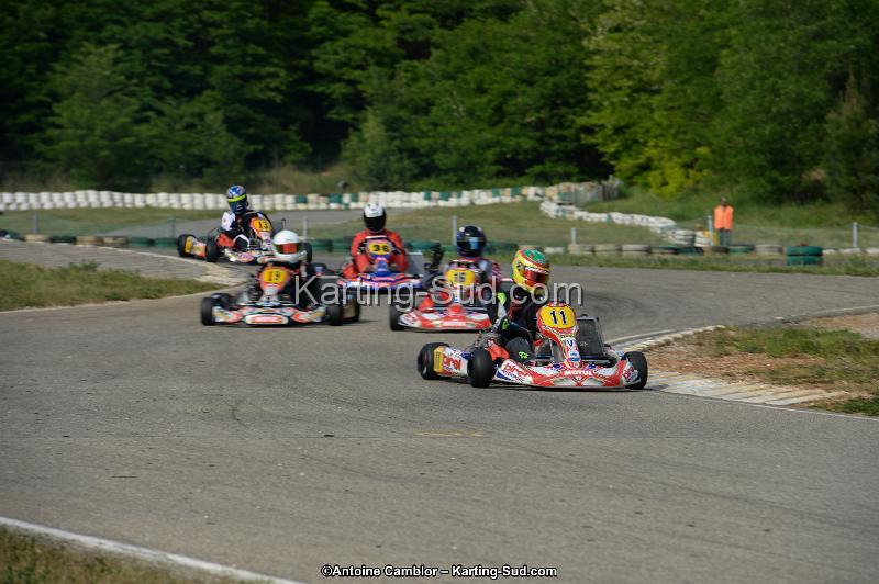 DSC_1882.jpg