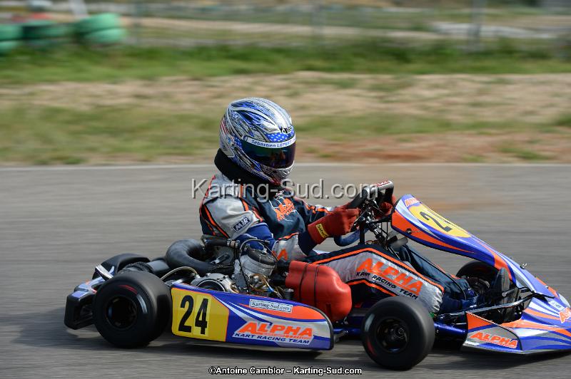 DSC_1911.jpg