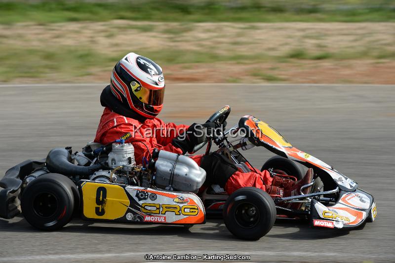 DSC_1914.jpg