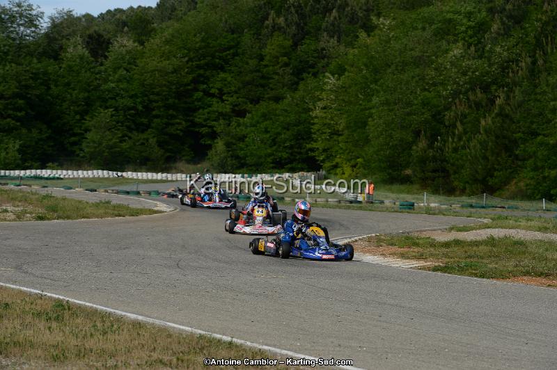 DSC_1919.jpg